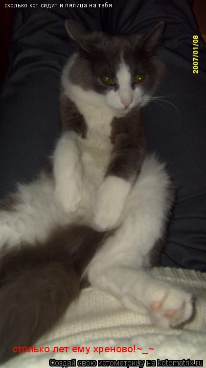 сколько кот сидит и пялица на тебя cтолько лет ему хреново!~_~... Котоматрица: сколько кот сидит и пялица на тебя cтолько лет ему хреново!~_~