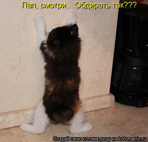Пап, смотри... Обдирать так???... Котоматрица: Пап, смотри... Обдирать так???