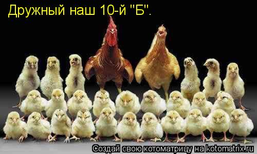 Дружный наш 10-й "Б".... Котоматрица: Дружный наш 10-й "Б".