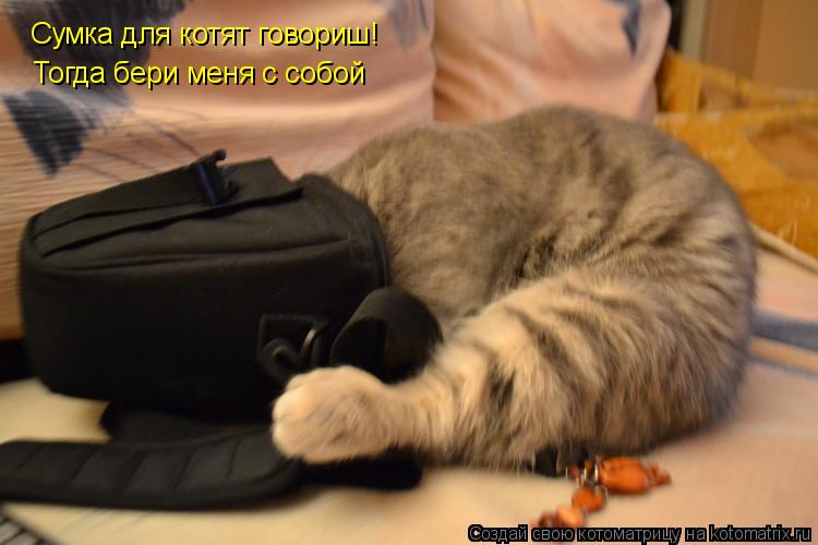 Сумка для котят говориш! Тогда бери меня с собой... Котоматрица: Сумка для котят говориш! Тогда бери меня с собой