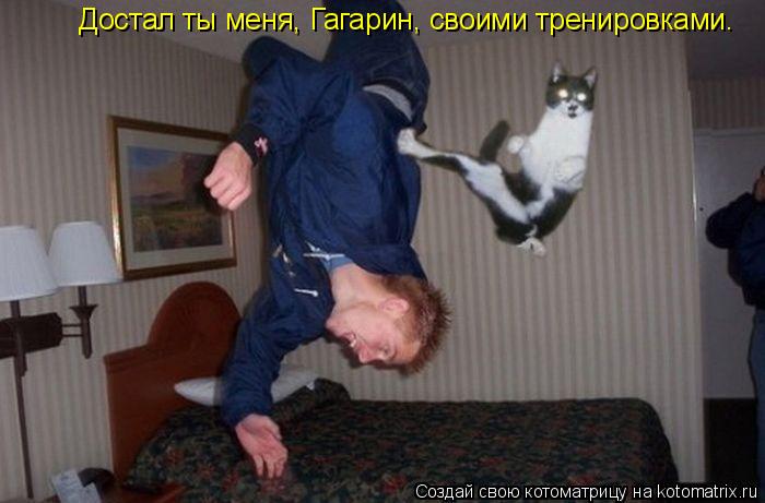 Достал ты меня, Гагарин, своими тренировками.... Котоматрица: Достал ты меня, Гагарин, своими тренировками.