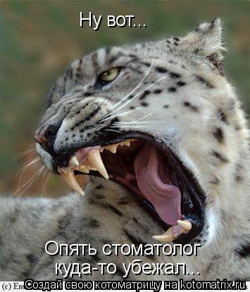 Ну вот... Опять стоматолог куда-то убежал...... Котоматрица: Ну вот... Опять стоматолог куда-то убежал...