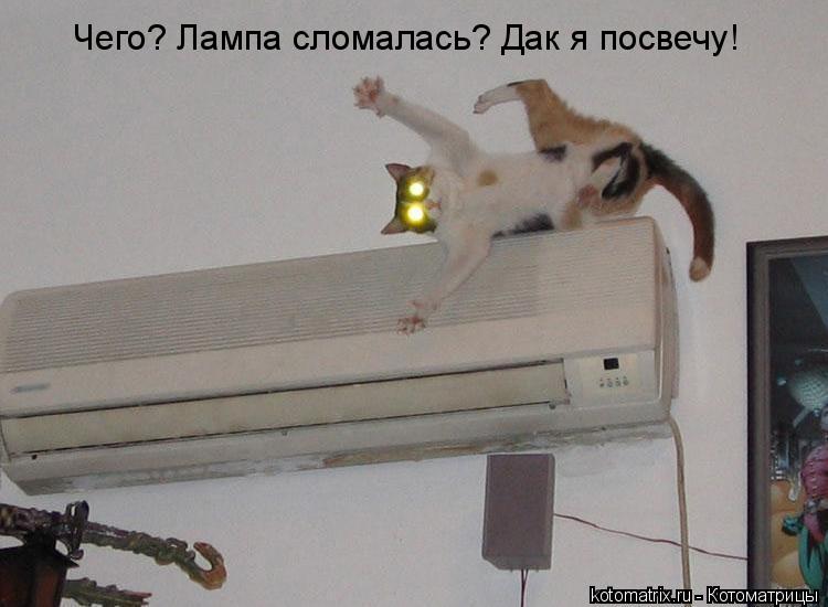 Чего? Лампа сломалась? Дак я посвечу!... Котоматрица: Чего? Лампа сломалась? Дак я посвечу!