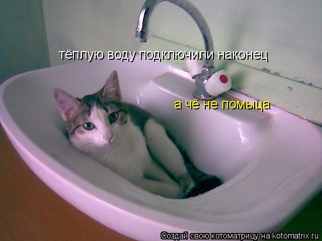 тёплую воду подключили наконец а чё не помыца... Котоматрица: тёплую воду подключили наконец а чё не помыца