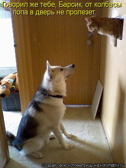 Говорил же тебе, Барсик, от колбасы попа в дверь не пролезет.... Котоматрица: Говорил же тебе, Барсик, от колбасы попа в дверь не пролезет.