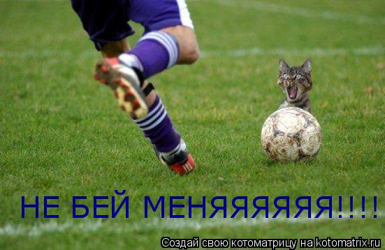 НЕ БЕЙ МЕНЯЯЯЯЯЯ!!!!... Котоматрица: НЕ БЕЙ МЕНЯЯЯЯЯЯ!!!!