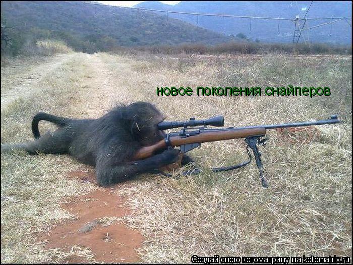 новое поколения снайперов... Котоматрица: новое поколения снайперов