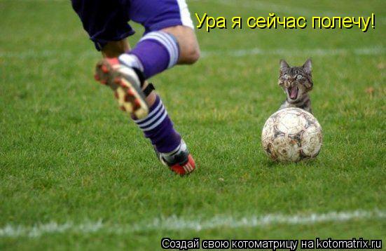 Ура я сейчас полечу!... Котоматрица: Ура я сейчас полечу!