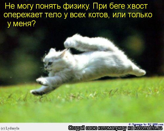 Не могу понять физику. При беге хвост опережает тело у всех котов, или только у меня?... Котоматрица: Не могу понять физику. При беге хвост опережает тело у всех котов, или только у меня?