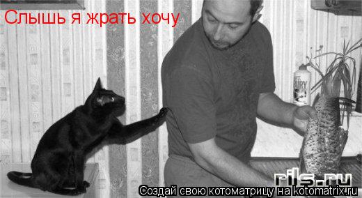 Слышь я жрать хочу... Котоматрица: Слышь я жрать хочу