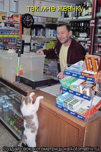 так мне жвачку... Котоматрица: так мне жвачку