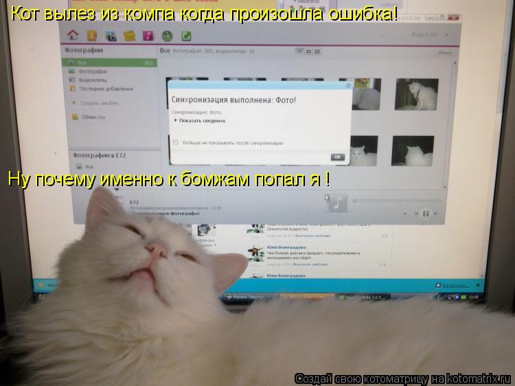 Кот вылез из компа когда произошла ошибка! Ну почему именно к бомжам попал я !... Котоматрица: Кот вылез из компа когда произошла ошибка! Ну почему именно к бомжам попал я !