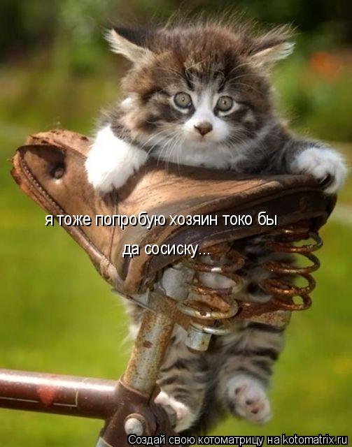 я тоже попробую хозяин токо бы да сосиску...... Котоматрица: я тоже попробую хозяин токо бы да сосиску...