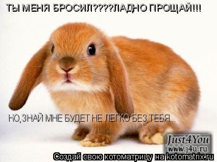 ТЫ МЕНЯ БРОСИЛ????ЛАДНО ПРОЩАЙ!!! НО,ЗНАЙ МНЕ БУДЕТ НЕ ЛЕГКО БЕЗ ТЕБЯ...... Котоматрица: ТЫ МЕНЯ БРОСИЛ????ЛАДНО ПРОЩАЙ!!! НО,ЗНАЙ МНЕ БУДЕТ НЕ ЛЕГКО БЕЗ ТЕБЯ...