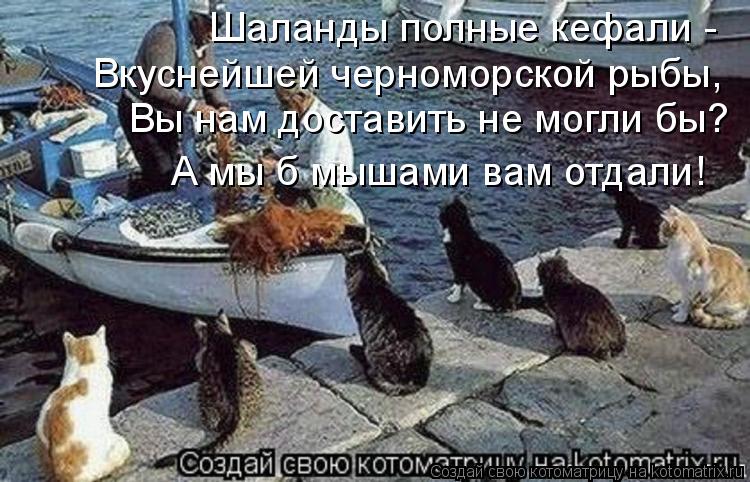 Шаланды полные кефали - Вкуснейшей черноморской рыбы, Вы нам доставить не могли бы? А мы б мышами ва... Котоматрица: Шаланды полные кефали - Вкуснейшей черноморской рыбы, Вы нам доставить не могли бы? А мы б мышами вам отдали!