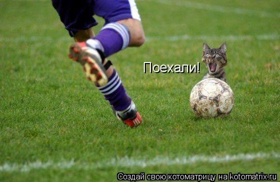 Поехали!... Котоматрица: Поехали!