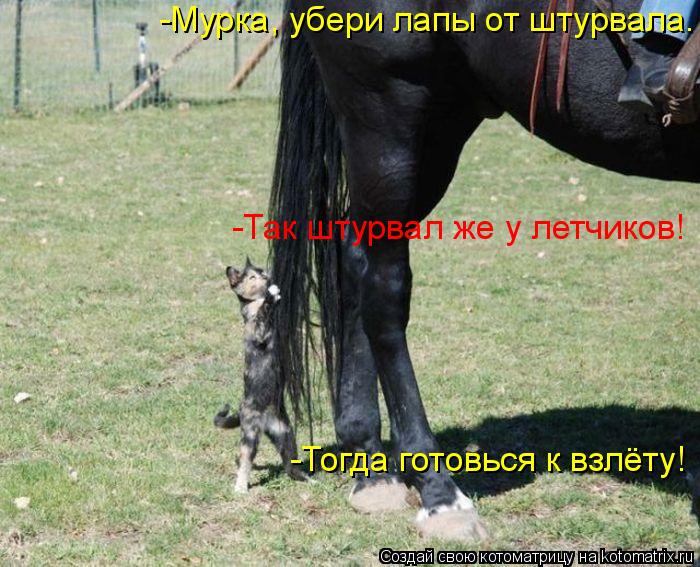 -Мурка, убери лапы от штурвала. -Так штурвал же у летчиков! -Тогда готовься к взлёту!... Котоматрица: -Мурка, убери лапы от штурвала. -Так штурвал же у летчиков! -Тогда готовься к взлёту!