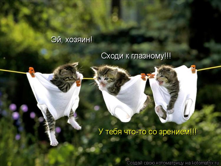 Эй, хозяин! Сходи к глазному!!! У тебя что-то со зрением!!!... Котоматрица: Эй, хозяин! Сходи к глазному!!! У тебя что-то со зрением!!!