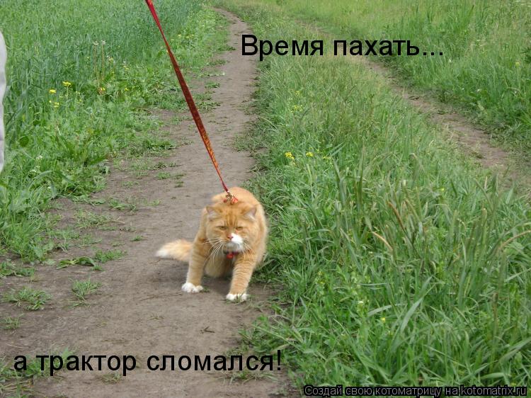 Время пахать... а трактор сломался!... Котоматрица: Время пахать... а трактор сломался!