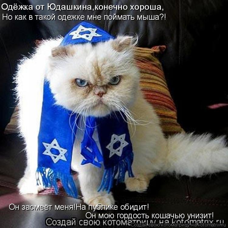 Одёжка от Юдашкина,конечно хороша, Но как в такой одежке мне поймать мыша?! Он мою гордость кошачью у... Котоматрица: Одёжка от Юдашкина,конечно хороша, Но как в такой одежке мне поймать мыша?! Он мою гордость кошачью унизит! Он засмеёт меня!На публике обидит