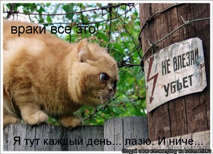 враки все это! Я тут каждый день... лазю. И ниче...... Котоматрица: враки все это! Я тут каждый день... лазю. И ниче...