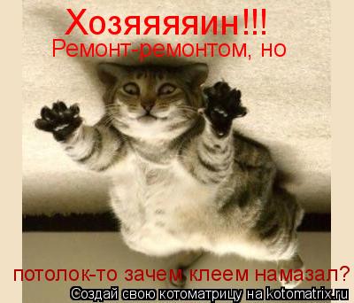 Хозяяяяин!!! Ремонт-ремонтом, но потолок-то ты зачем клеем намазал? потолок-то зачем клеем намазал?... Котоматрица: Хозяяяяин!!! Ремонт-ремонтом, но потолок-то ты зачем клеем намазал? потолок-то зачем клеем намазал?