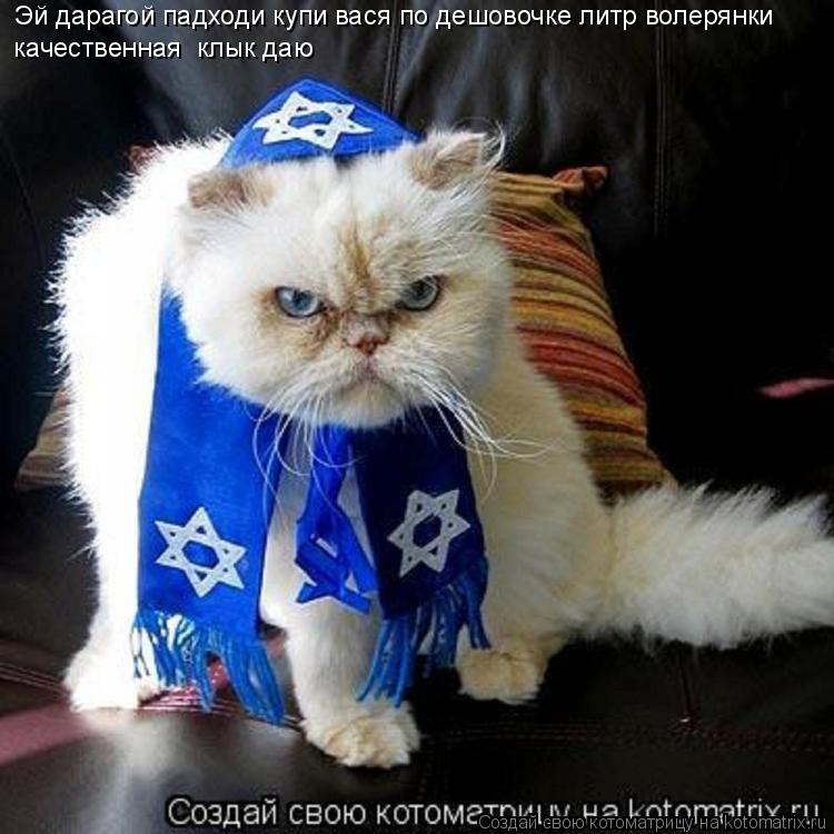 Эй дарагой падходи купи вася по дешовочке литр волерянки качественная клык даю... Котоматрица: Эй дарагой падходи купи вася по дешовочке литр волерянки качественная клык даю