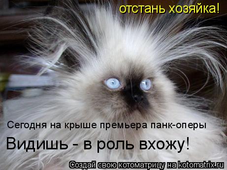 отстань хозяйка! Сегодня на крыше премьера панк-оперы Видишь - в роль вхожу!... Котоматрица: отстань хозяйка! Сегодня на крыше премьера панк-оперы Видишь - в роль вхожу!