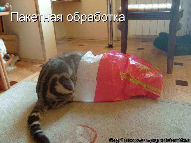 Пакетная обработка... Котоматрица: Пакетная обработка