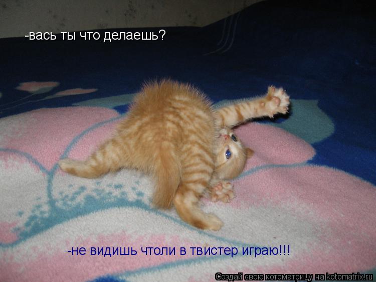 -вась ты что делаешь? -не видишь чтоли в твистер играю!!!... Котоматрица: -вась ты что делаешь? -не видишь чтоли в твистер играю!!!