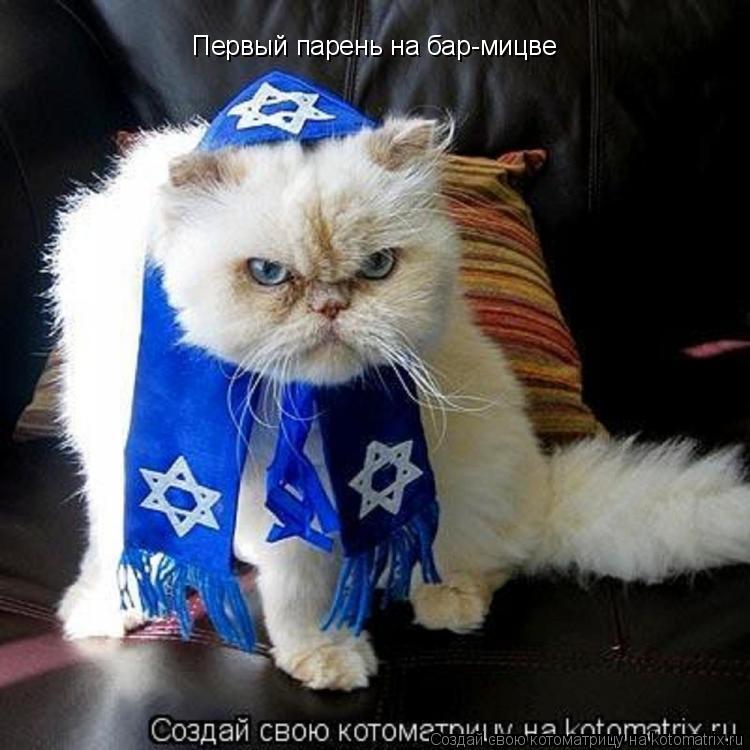 Первый парень на бар-мицве... Котоматрица: Первый парень на бар-мицве
