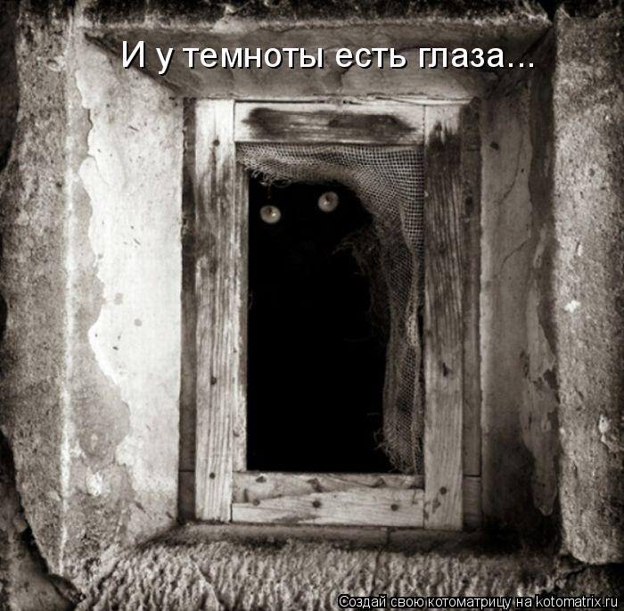 И у темноты есть глаза...... Котоматрица: И у темноты есть глаза...