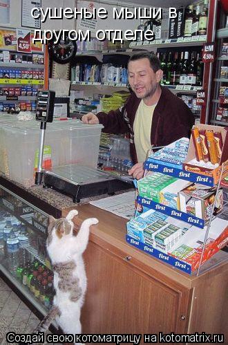 сушеные мыши в другом отделе... Котоматрица: сушеные мыши в другом отделе