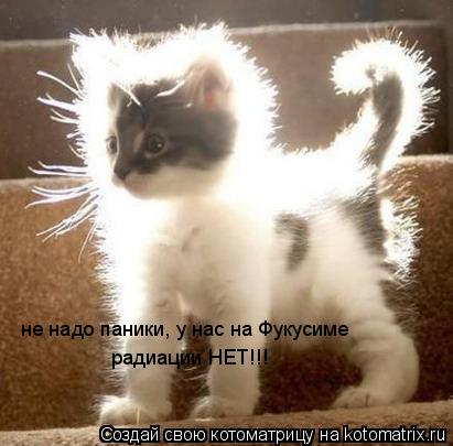 не надо паники, у нас на Фукусиме радиации НЕТ!!!... Котоматрица: не надо паники, у нас на Фукусиме радиации НЕТ!!!