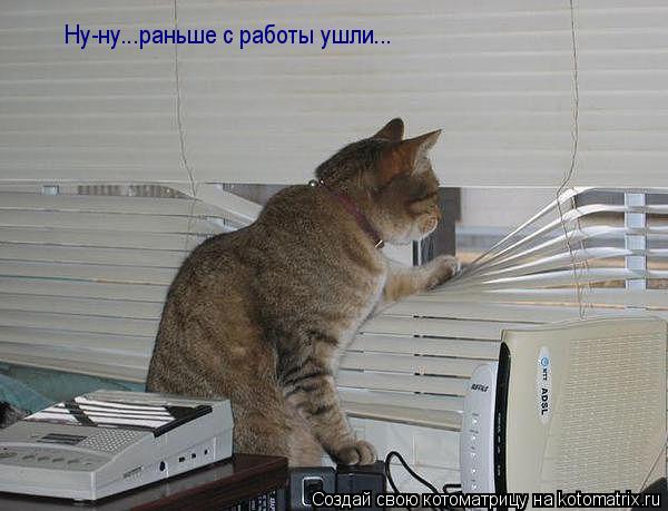 Ну-ну...раньше с работы ушли...... Котоматрица: Ну-ну...раньше с работы ушли...