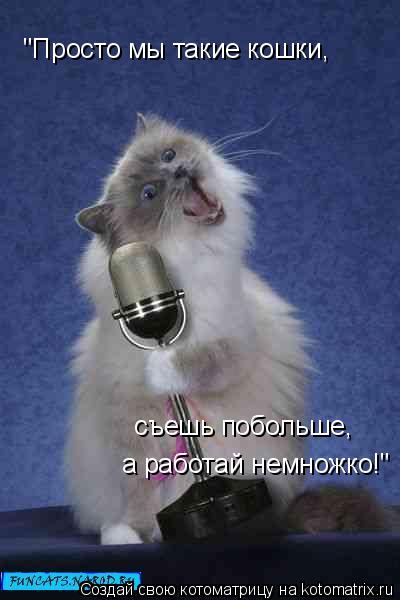 "Просто мы такие кошки, съешь побольше, а работай немножко!"... Котоматрица: "Просто мы такие кошки, съешь побольше, а работай немножко!"