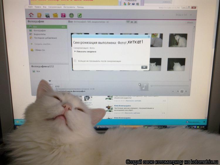 ,киткат!... Котоматрица: ,киткат!