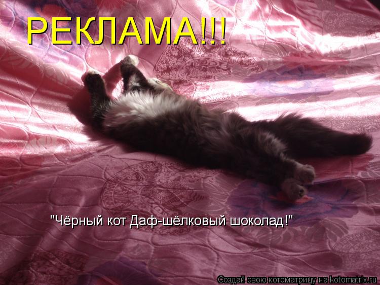 РЕКЛАМА!!! "Чёрный кот Даф-шёлковый шоколад!"... Котоматрица: РЕКЛАМА!!! "Чёрный кот Даф-шёлковый шоколад!"