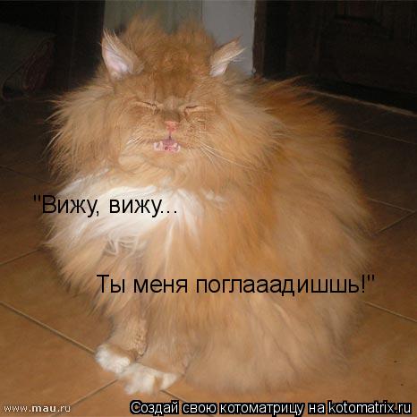 "Вижу, вижу... Ты меня поглааадишшь!"... Котоматрица: "Вижу, вижу... Ты меня поглааадишшь!"