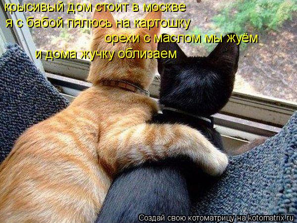крысивый дом стоит в москве я с бабой пялюсь на картошку орехи с маслом мы жуём и дома жучку облизаем... Котоматрица: крысивый дом стоит в москве я с бабой пялюсь на картошку орехи с маслом мы жуём и дома жучку облизаем