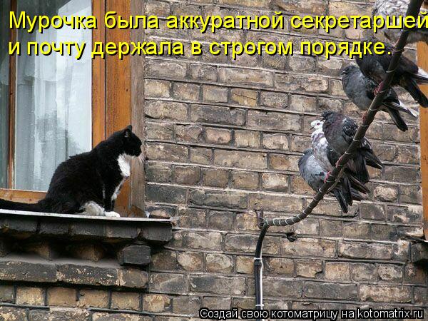 Мурочка была аккуратной секретаршей и почту держала в строгом порядке.... Котоматрица: Мурочка была аккуратной секретаршей и почту держала в строгом порядке.