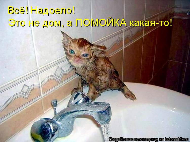 Всё! Надоело! Это не дом, а ПОМОЙКА какая-то!... Котоматрица: Всё! Надоело! Это не дом, а ПОМОЙКА какая-то!