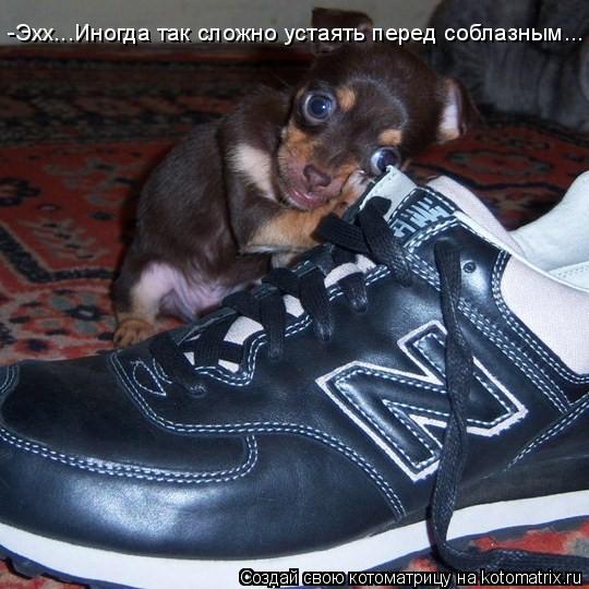 -Эхх...Иногда так сложно устаять перед соблазным...... Котоматрица: -Эхх...Иногда так сложно устаять перед соблазным...