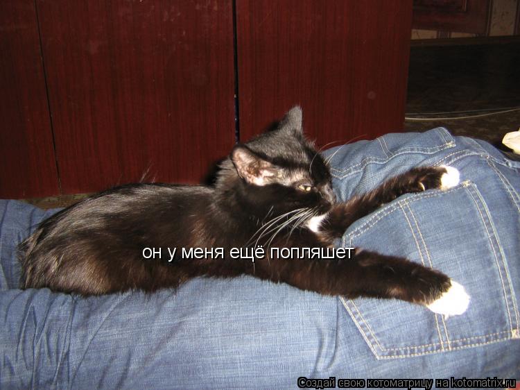 он у меня ещё попляшет... Котоматрица: он у меня ещё попляшет
