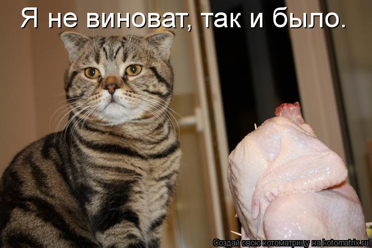 Я не виноват, так и было.... Котоматрица: Я не виноват, так и было.