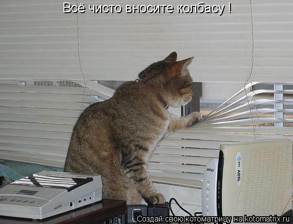 Всё чисто вносите колбасу !... Котоматрица: Всё чисто вносите колбасу !