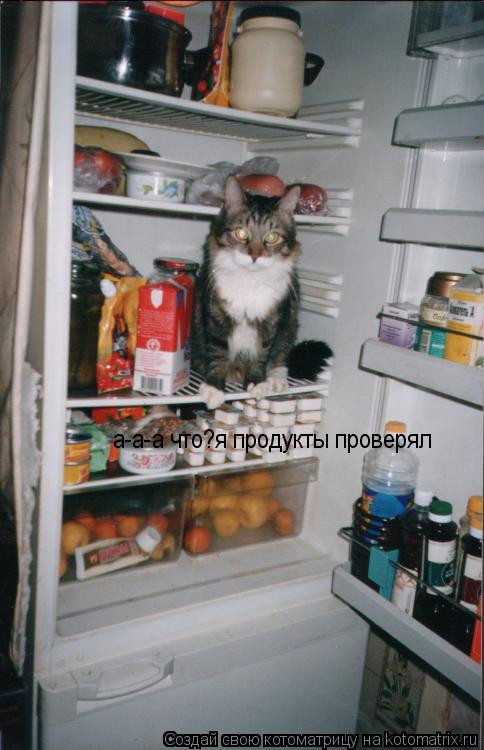 а-а-а что?я продукты проверял... Котоматрица: а-а-а что?я продукты проверял
