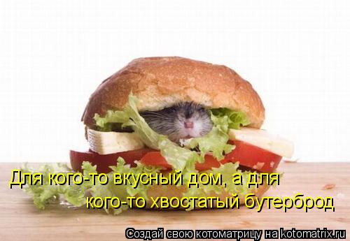 Для кого-то вкусный дом, а для кого-то хвостатый бутерброд... Котоматрица: Для кого-то вкусный дом, а для кого-то хвостатый бутерброд