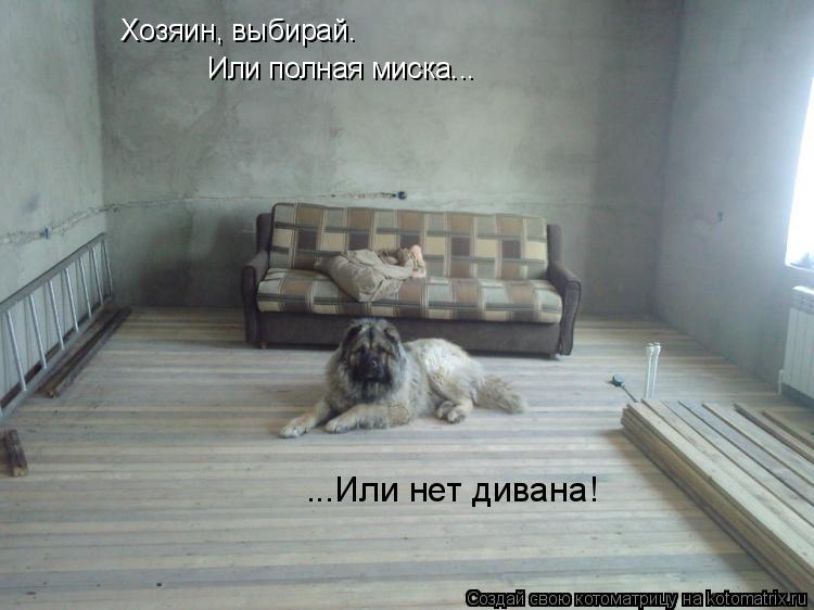 Хозяин, выбирай. Или полная миска... ...Или нет дивана!... Котоматрица: Хозяин, выбирай. Или полная миска... ...Или нет дивана!
