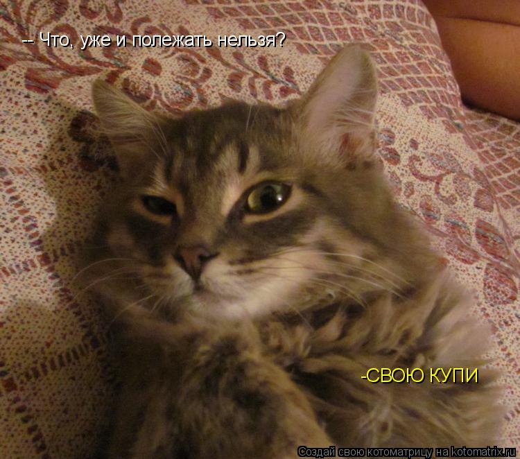 -СВОЮ КУПИ -- Что, уже и полежать нельзя?... Котоматрица: -СВОЮ КУПИ -- Что, уже и полежать нельзя?
